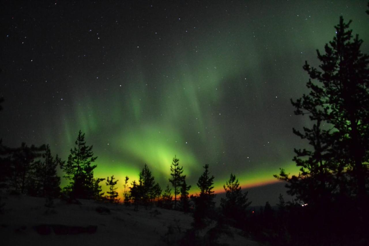 Lagomhuset - A Peaceful Holiday In Swedish Lapland Vidsel Exteriör bild