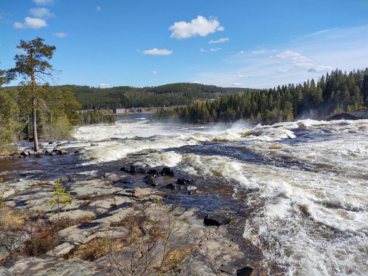 Lagomhuset - A Peaceful Holiday In Swedish Lapland Vidsel Exteriör bild